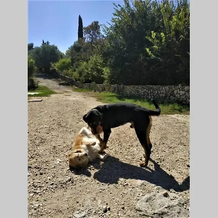 Fiorela Maisonette Сasa de vacaciones *