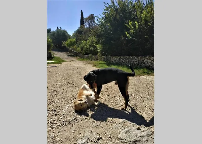 Fiorela Maisonette Сasa de vacaciones *